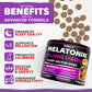 Melatonin Calming Chews for Dogs Stress