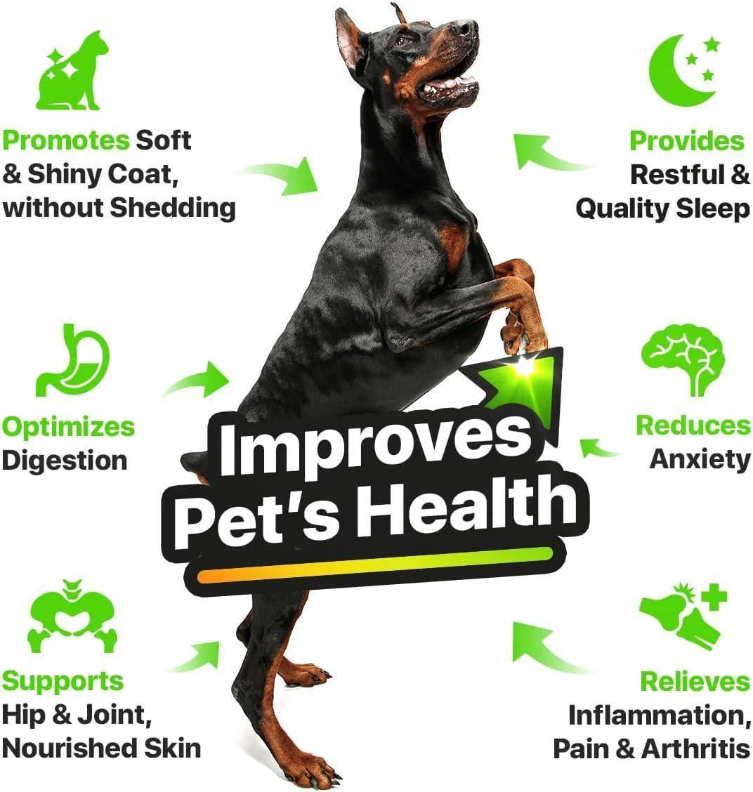 Hеmp and Salmon Oil for Dogs Skin Coat Hеalth 3 6 9 Omega