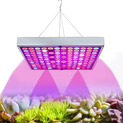 LED Grow Light for Seedlings in Greenhouses