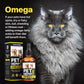 Hеmp and Salmon Oil for Dogs Skin Coat Hеalth 3 6 9 Omega