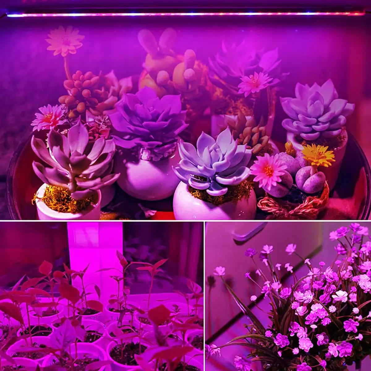 LED Phytolamp Grow Light 