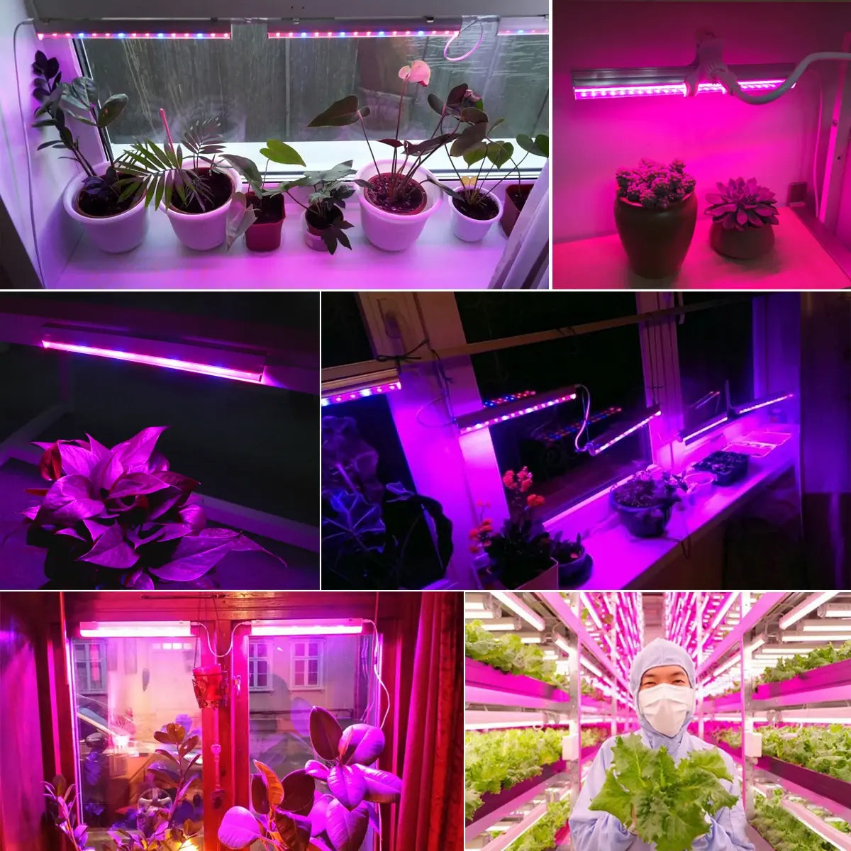 LED Phytolamp Grow Light 