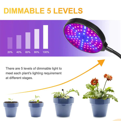 Mega Flyers | Full Spectrum 60W LED Grow Light