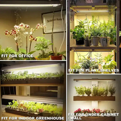 Led Grow Light For Plants