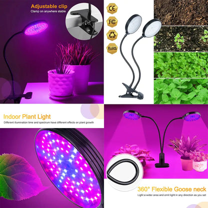 Mega Flyers | Full Spectrum 60W LED Grow Light