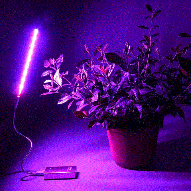 Plant Led Light For Speed ​​Growing 