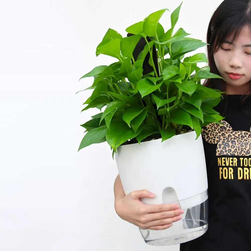 Double Layer Self Watering Flowerpot